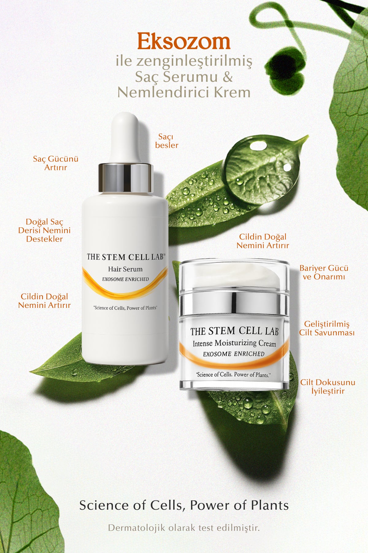 Hair Serum 50 ml & Intense Moisturizing Cream 50 ml