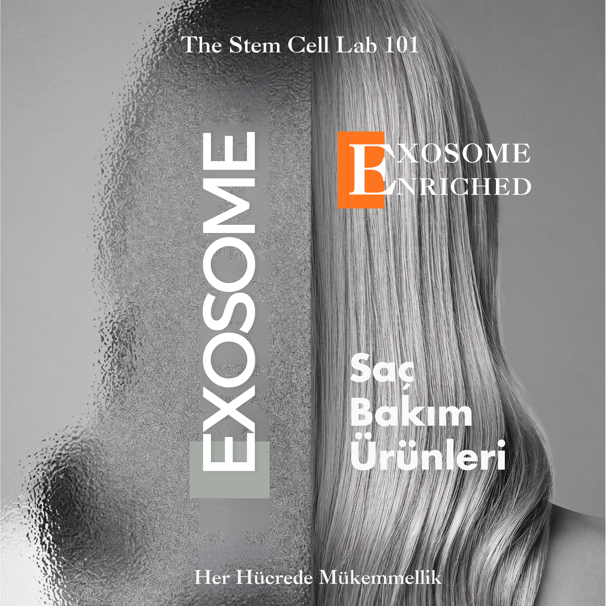 Eksozom ile Zenginleştirilmiş Saç Ekimi Sonrası Sabah Bakım Seti | Anti-Hair Loss Shampoo 340ml - Anti-Hair Loss Tonic 100ml - Hair Serum 50ml