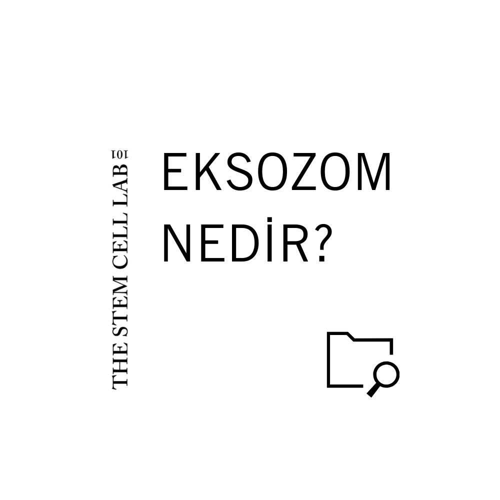 Eksozom Nedir? Cilt ve Saç Bakımında Yeni Nesil Hücresel Teknoloji