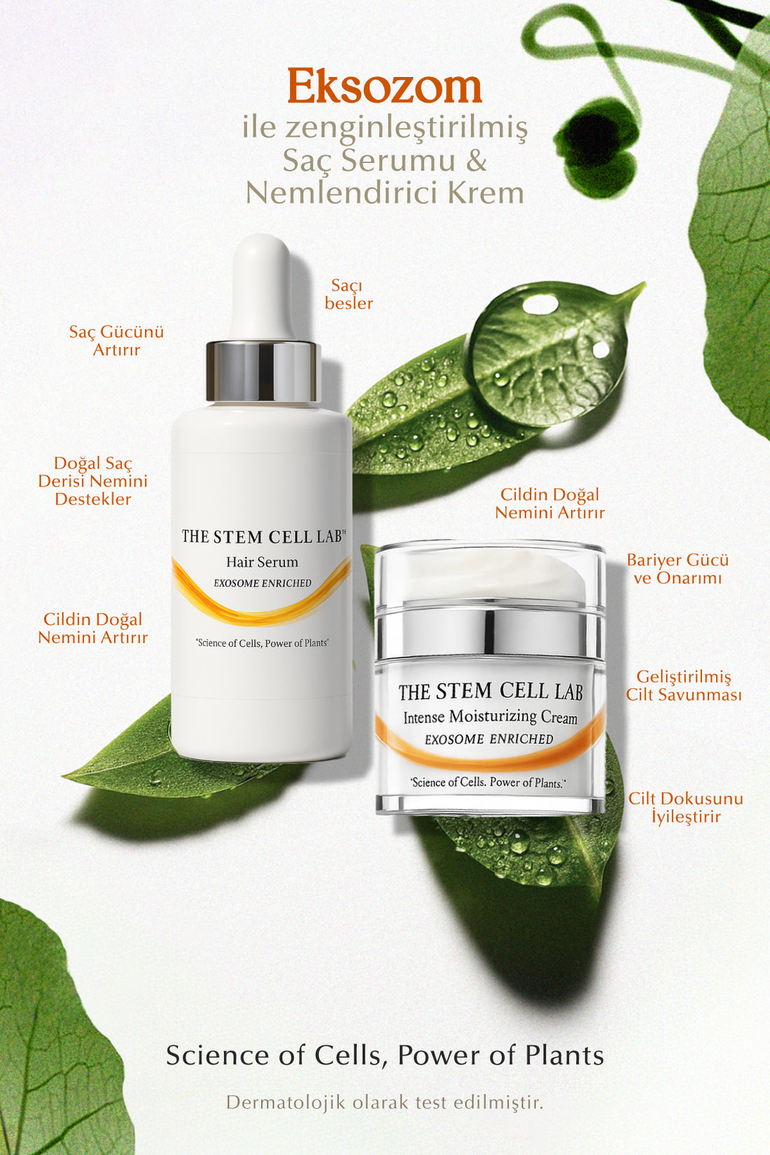 Hair Serum 50 ml &amp; Intense Moisturizing Cream 50 ml
