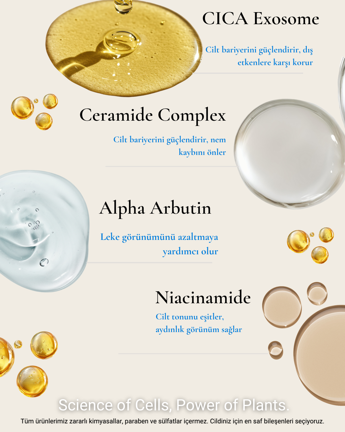 Sun Cream 50+ SPF | Eksozom ile Zenginleştirilmiş Güneş Kremi 50+ Spf | 50ml