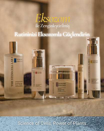 Sun Cream 50+ SPF | Eksozom ile Zenginleştirilmiş Güneş Kremi 50+ Spf | 50ml