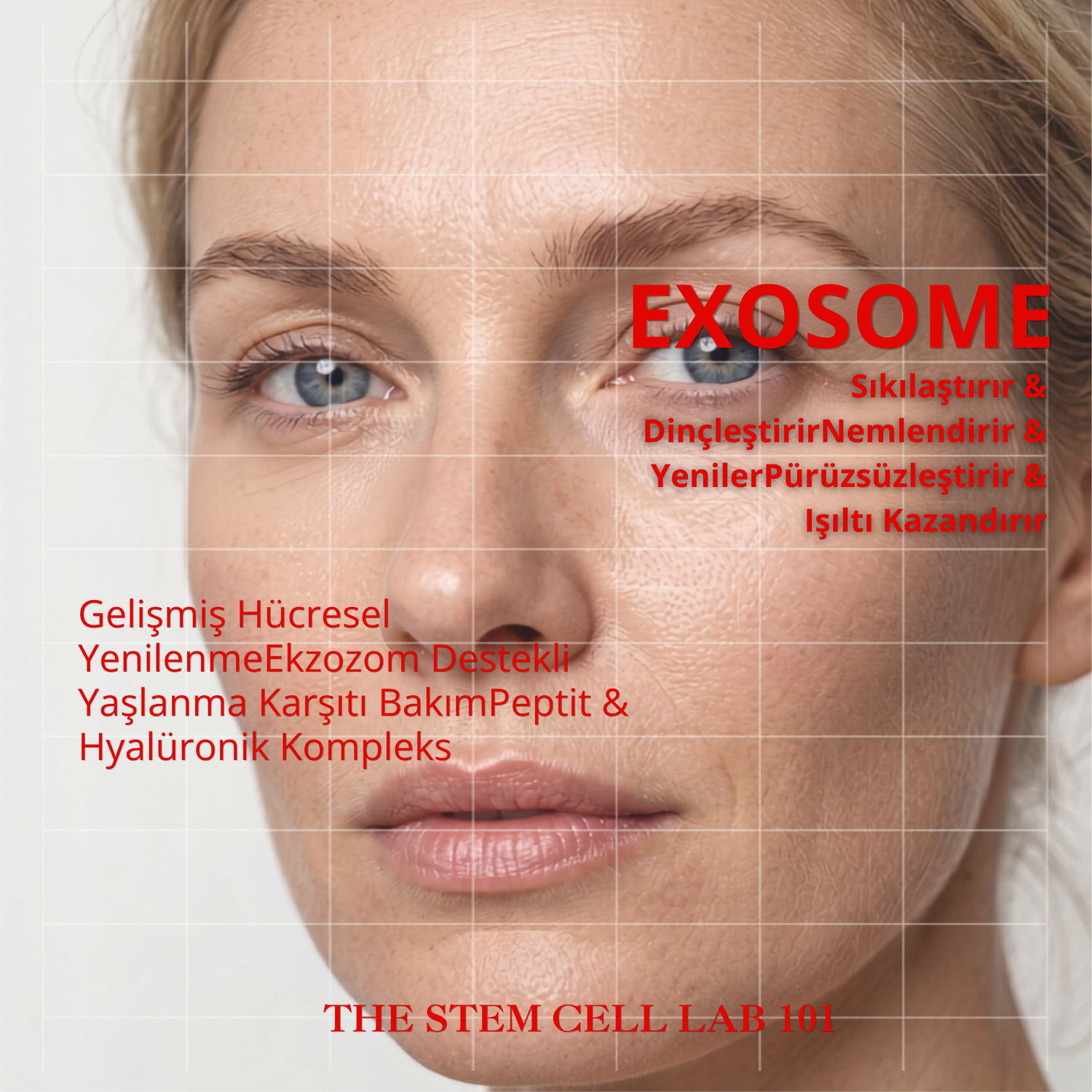 Eksozom ile Zenginleştirilmiş Daily Glow Koruma Seti - Peeling Etkili Yüz Toniği 100ml + Anti-Aging Serum 30ml + Nemlendirici Krem 50ml + Sun Cream 50+ SPF 50ml