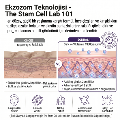 Eksozom ile Zenginleştirilmiş Daily Glow Koruma Seti - Peeling Etkili Yüz Toniği 100ml + Anti-Aging Serum 30ml + Nemlendirici Krem 50ml + Sun Cream 50+ SPF 50ml