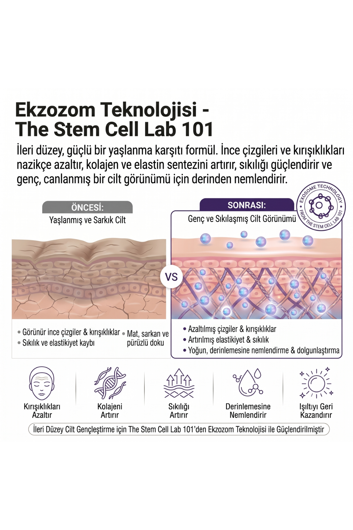 Face Serum |  Eksozom ile Zenginleştirilmiş Anti-Aging Serum | 30ml