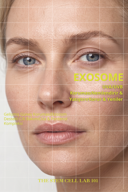 Sun Cream 50+ SPF | Eksozom ile Zenginleştirilmiş Güneş Kremi 50+ Spf | 50ml