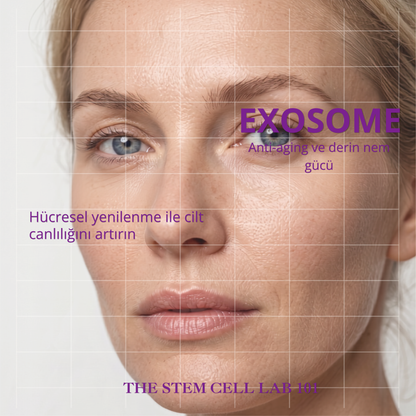 Eksozom ile Zenginleştirilmiş Daily Glow Koruma Seti - Peeling Etkili Yüz Toniği 100ml + Anti-Aging Serum 30ml + Nemlendirici Krem 50ml + Sun Cream 50+ SPF 50ml