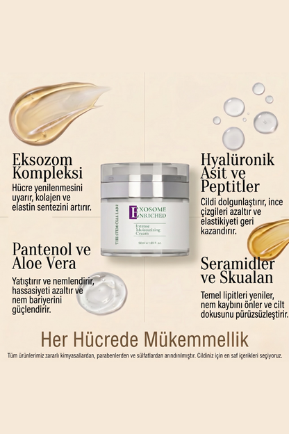 Eksozom ile Zenginleştirilmiş Komple Cilt Bakım Seti | Face Tonic 100ml + Anti-Aging Serum 30ml + Nemlendirici Krem 50ml + Eye Cream Repair 10ml + Sun Cream 50+ SPF 50ml
