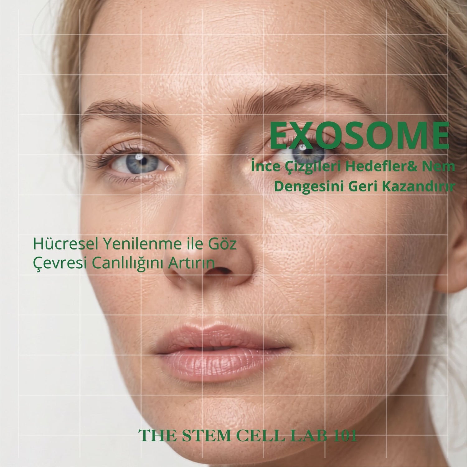 Eye Cream Repair | Eksozomla Zenginleştirilmiş Göz Çevresi Onarıcı Bakım Kremi 10ml