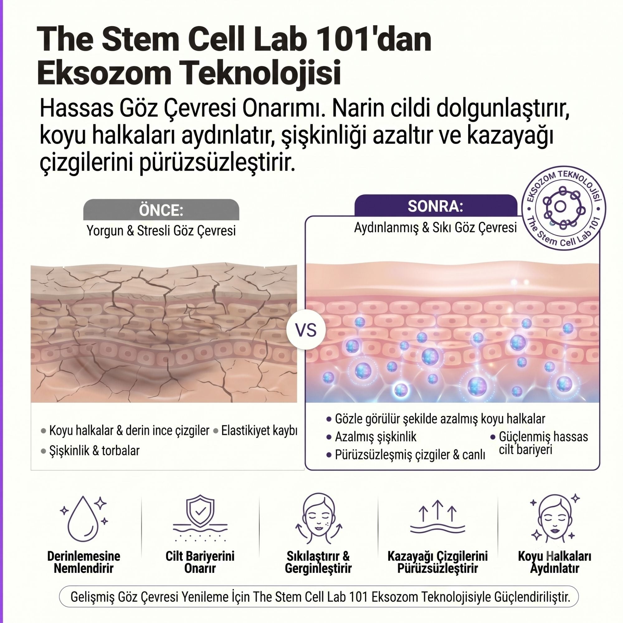 Eye Cream Repair | Eksozomla Zenginleştirilmiş Göz Çevresi Onarıcı Bakım Kremi 10ml