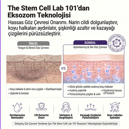 Eksozom ile Zenginleştirilmiş Komple Cilt Bakım Seti | Face Tonic 100ml + Anti-Aging Serum 30ml + Nemlendirici Krem 50ml + Eye Cream Repair 10ml + Sun Cream 50+ SPF 50ml