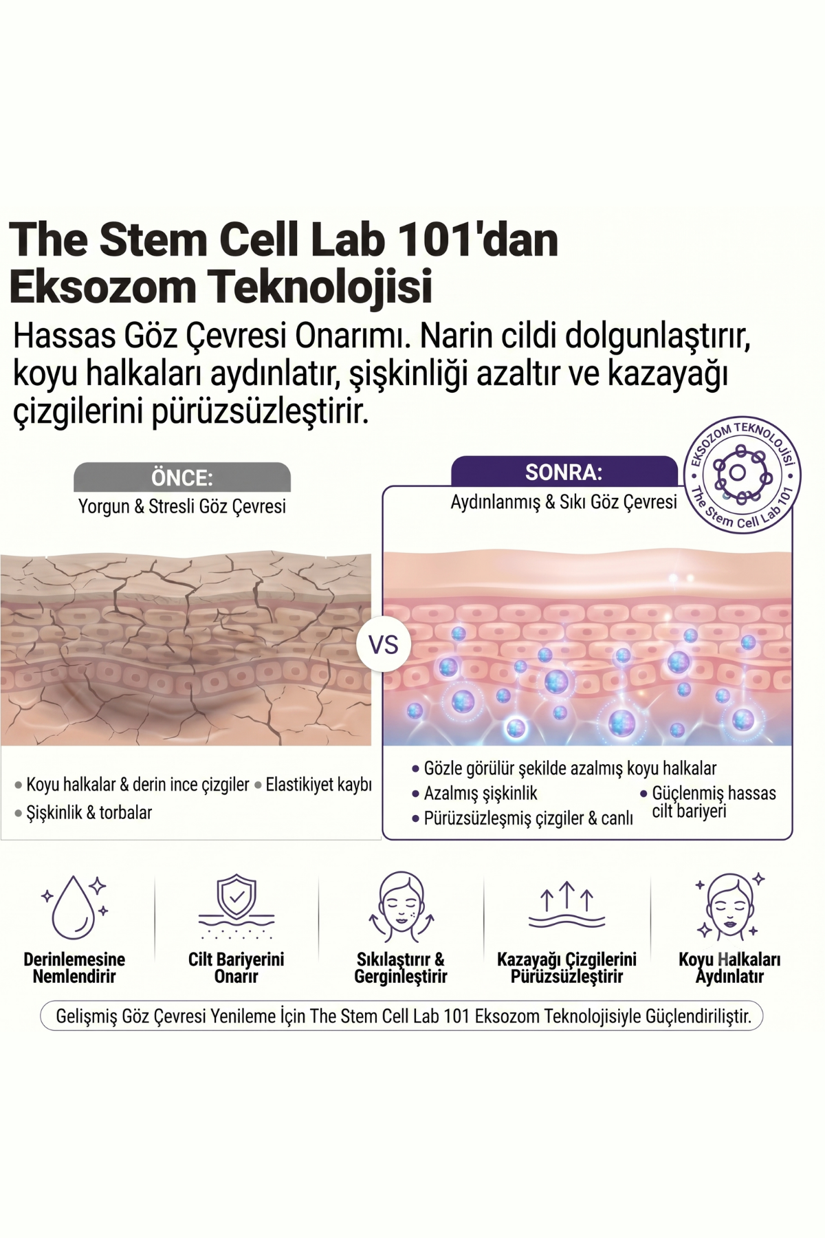 Eye Cream Repair | Eksozomla Zenginleştirilmiş Göz Çevresi Onarıcı Bakım Kremi 10ml
