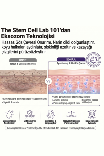 Eye Cream Repair | Eksozomla Zenginleştirilmiş Göz Çevresi Onarıcı Bakım Kremi 10ml