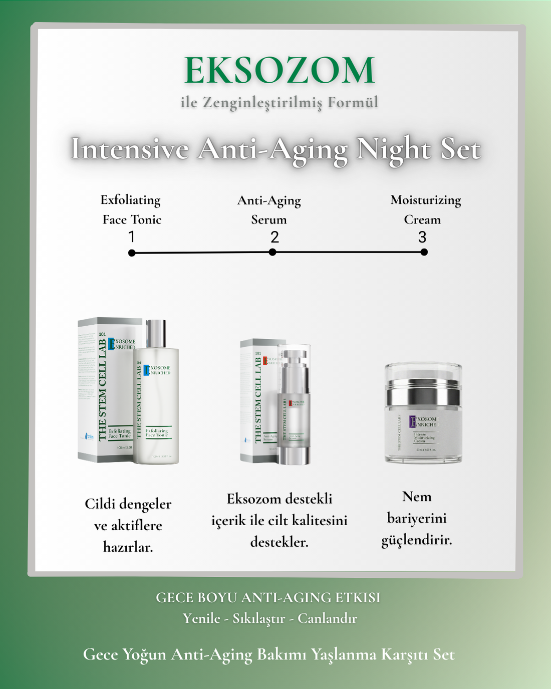 Eksozom ile Zenginleştirilmiş Intensive Anti-Aging Night Set | Peeling Etkili Yüz Toniği 100ml + Anti-Aging Serum 30ml + Nemlendirici Krem 50ml