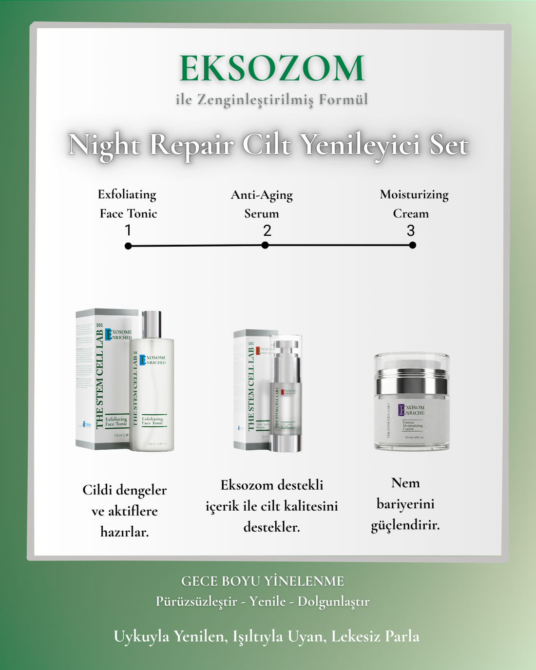 Eksozom ile Zenginleştirilmiş Night Repair Cilt Yenileyici Set | Peeling Etkili Yüz Toniği 100ml + Anti-Aging Serum 30ml + Nemlendirici Krem 50ml